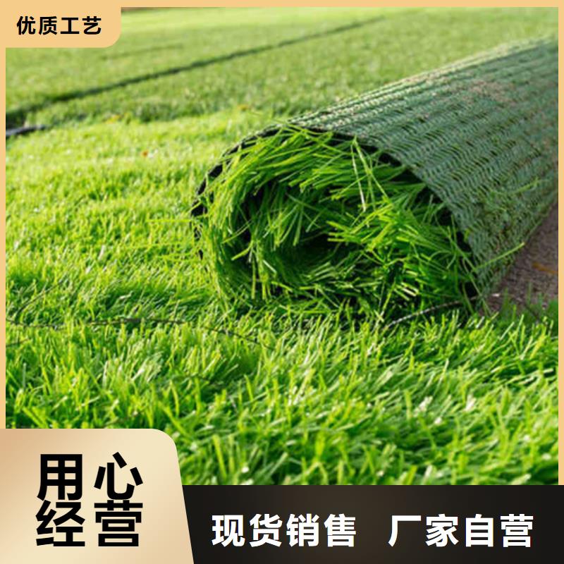 人造草坪【体育馆塑胶跑道】好品质用的放心
