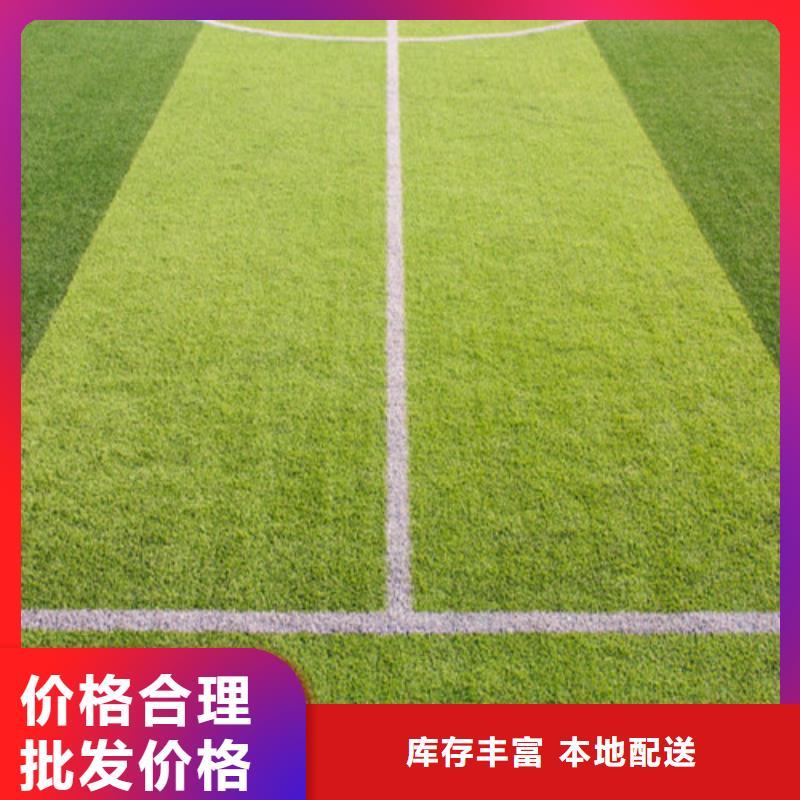 莱城围挡草坪采购