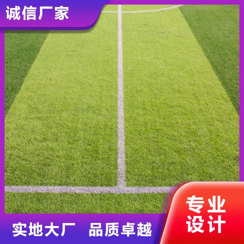 【人造草坪】硅PU球场适用范围广