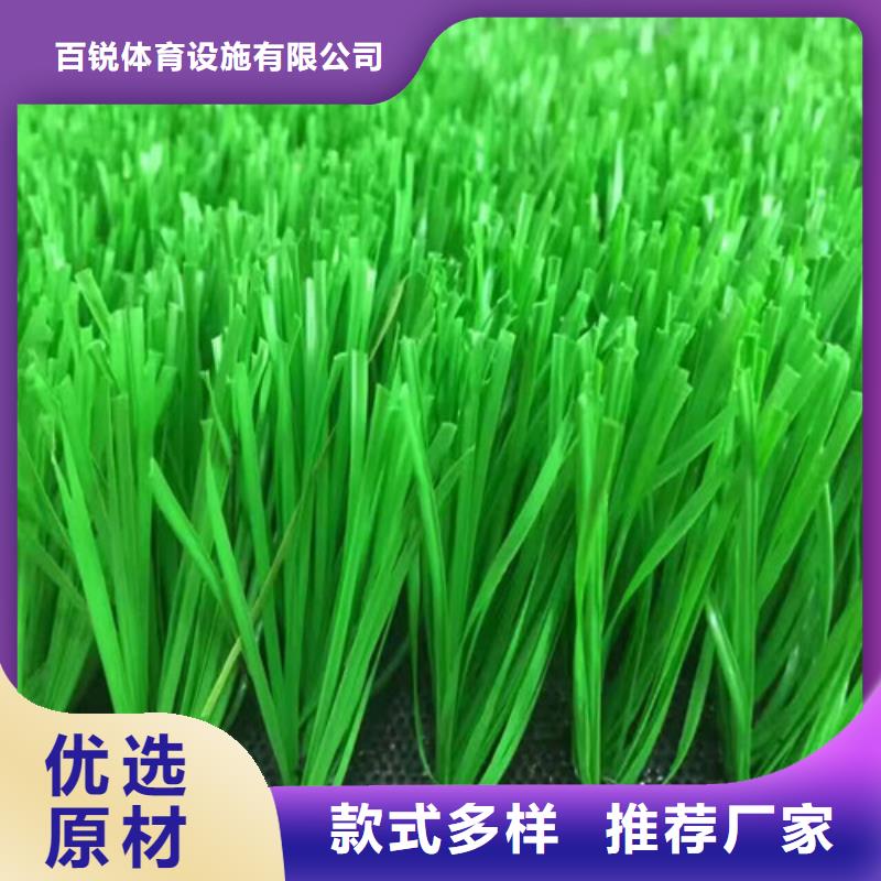 【人造草坪】硅PU球场适用范围广