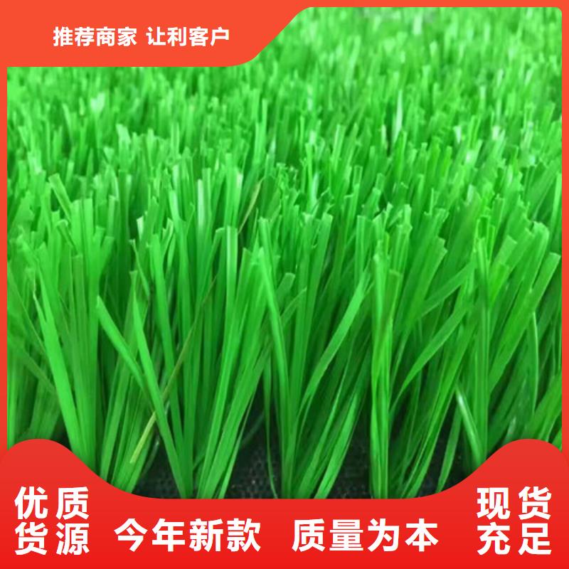 人造草坪健身步道品质之选