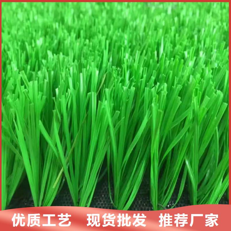人造草坪,塑胶跑道源厂直销