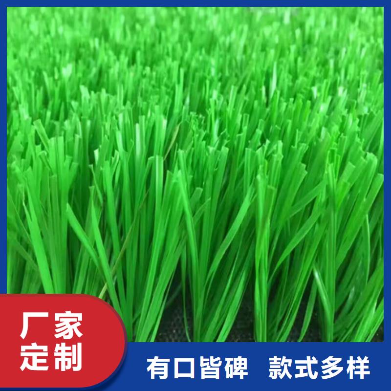 人造草坪【体育馆塑胶跑道】好品质用的放心