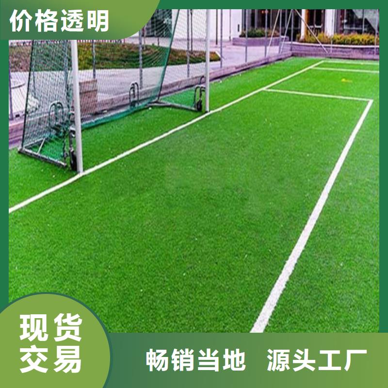 【人造草坪】硅PU球场适用范围广