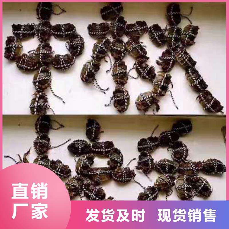 今天的螃蟹礼券
