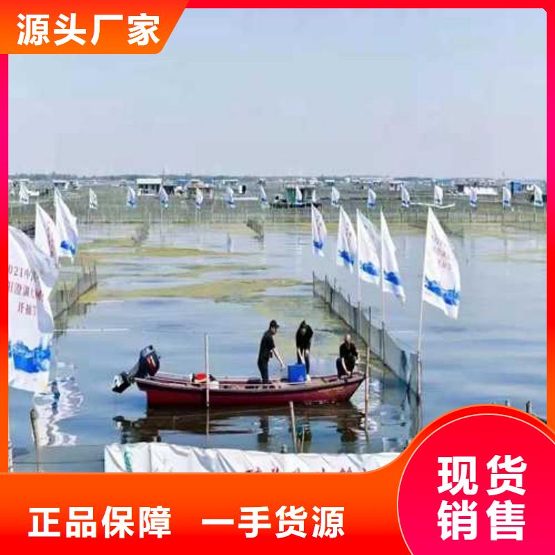 阳澄湖大闸蟹