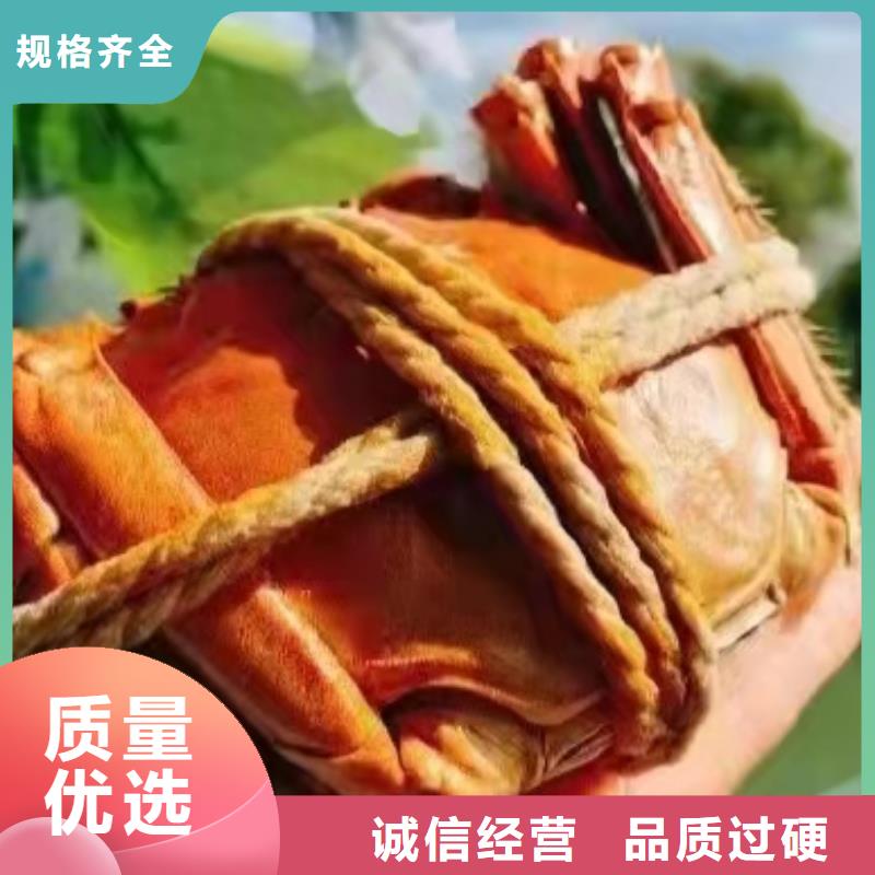 生产大闸蟹的厂家