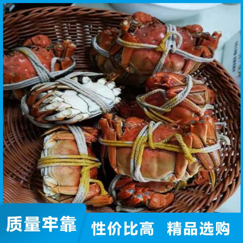 今天的螃蟹礼券