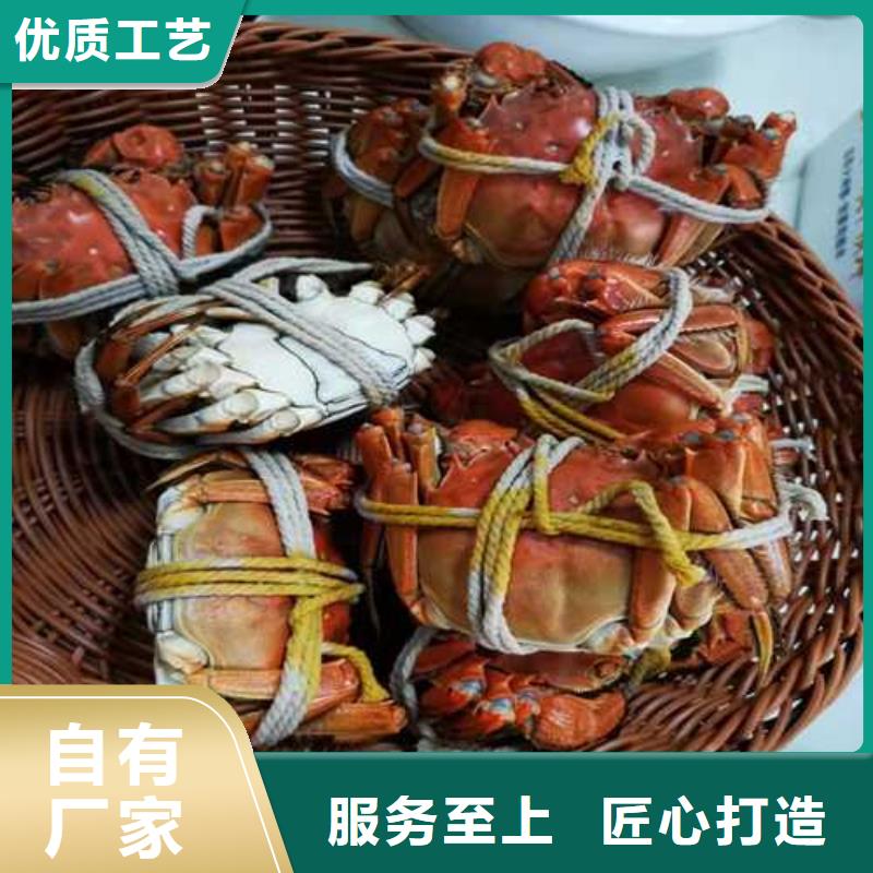 实力雄厚的大闸蟹供应商