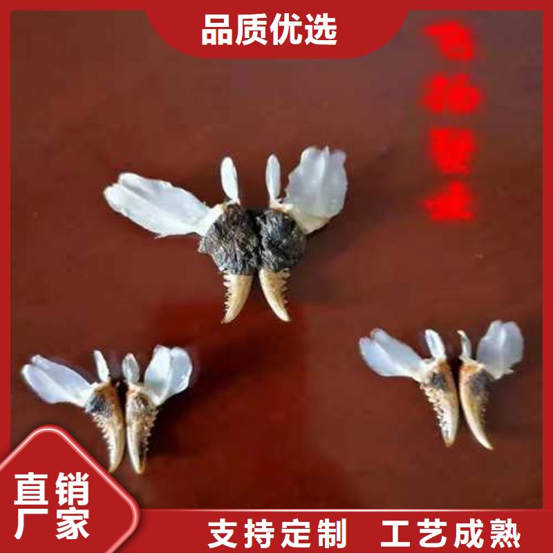 实力雄厚的大闸蟹供应商