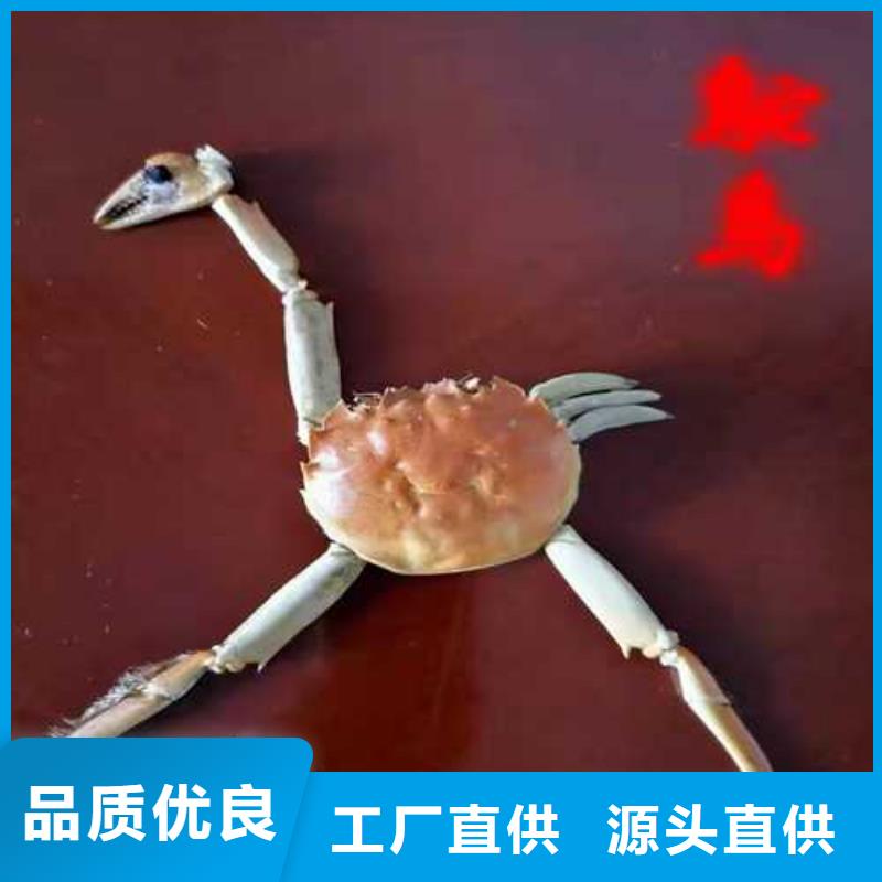 阳澄湖大闸蟹