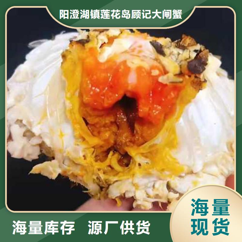 质量好的打螃蟹厂家