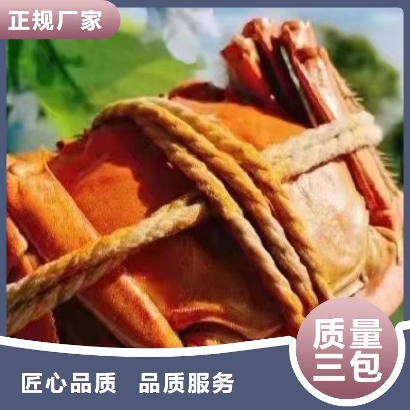 订购大闸蟹怎么选？