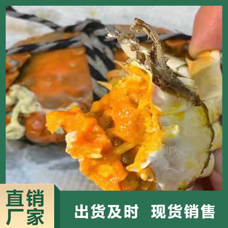 大闸蟹厂家定制