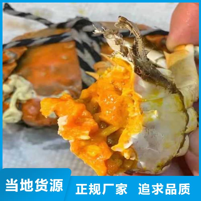 质量好的打螃蟹厂家