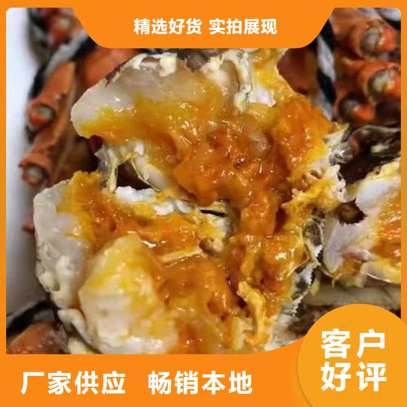 专业销售大闸蟹-价格优惠