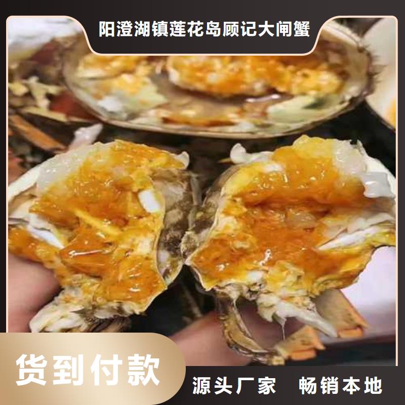 实力雄厚的大闸蟹供应商