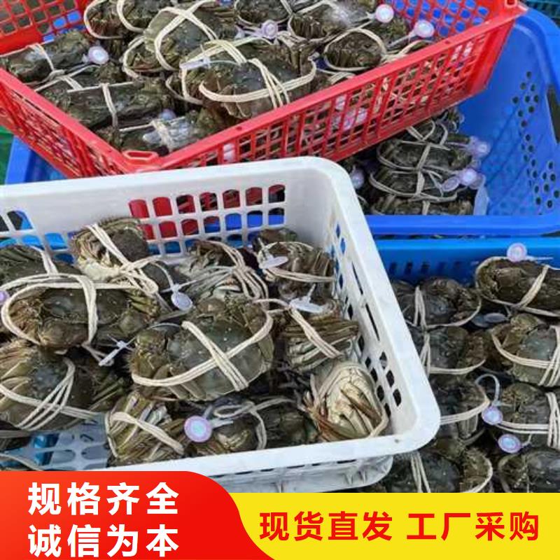 靠谱的打螃蟹销售厂家