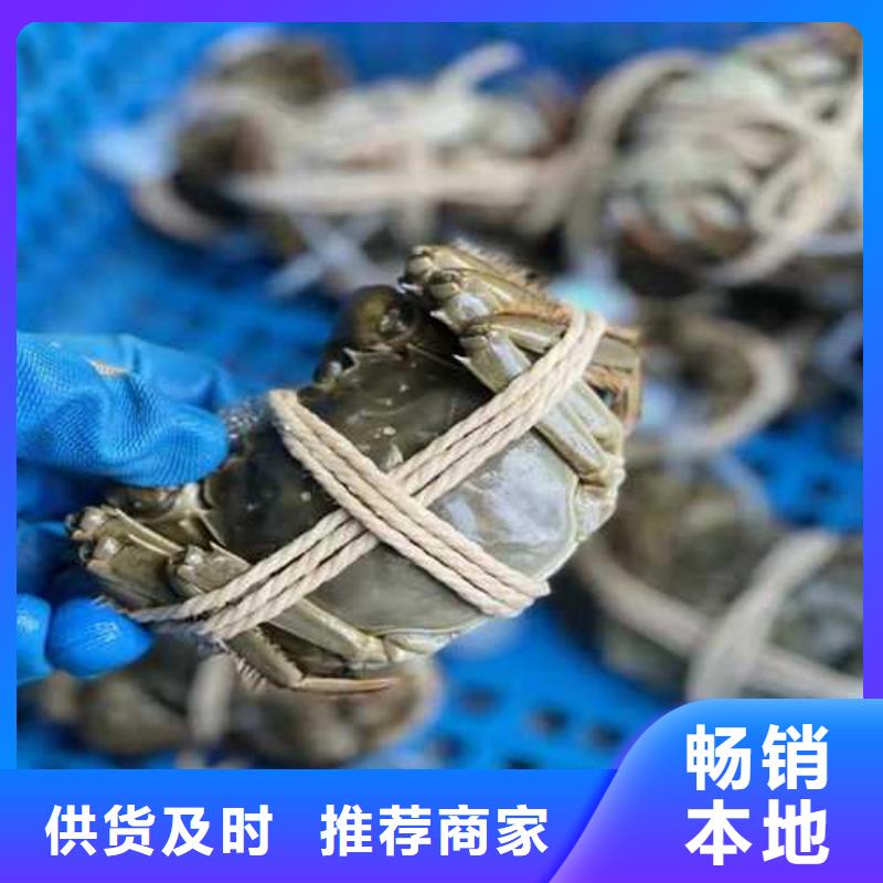 今天的螃蟹礼券