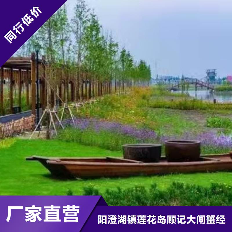 专业销售大闸蟹-价格优惠