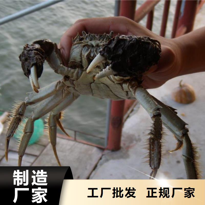 阳澄湖大闸蟹专卖店
