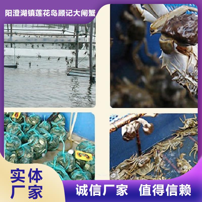 阳澄湖大闸蟹专卖店