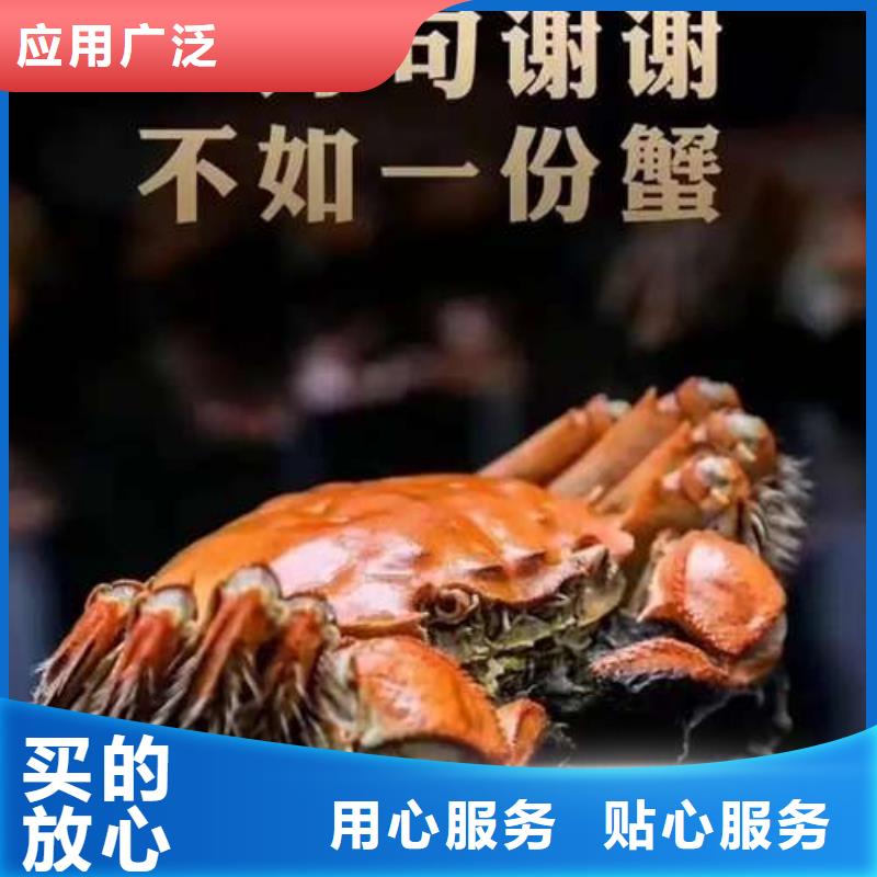 口碑好的阳澄湖大闸蟹基地