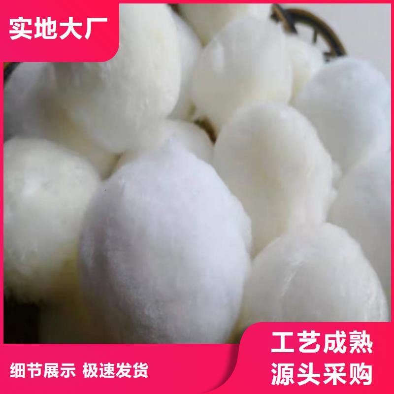 【水处理填料果壳活性炭可定制】