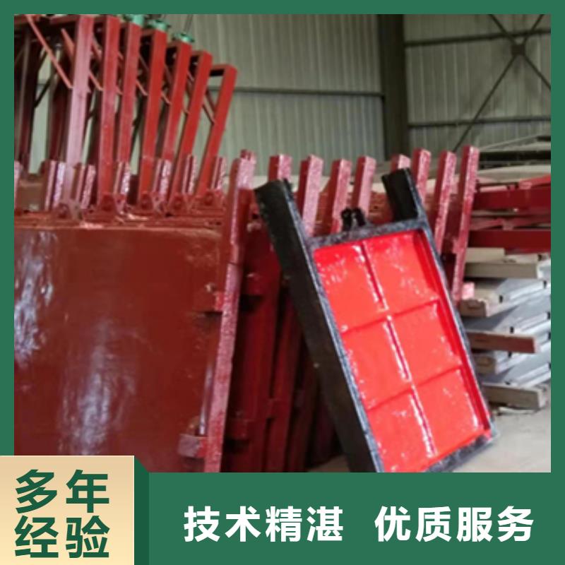 【图】反向止水闸门批发