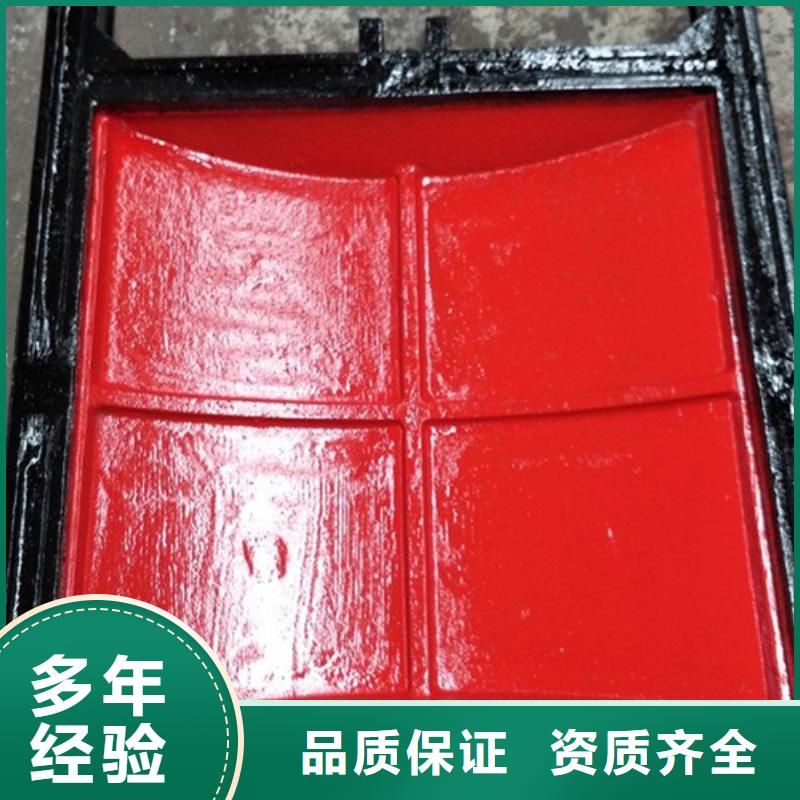 铸铁镶铜闸门-水闸闸门技术领先