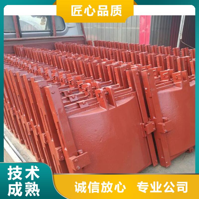 铸铁镶铜闸门-平板铸铁镶铜闸门快速响应