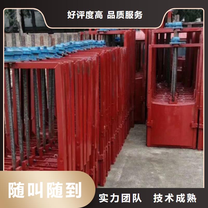 闸门启闭机-双向止水铸铁闸门直供价优