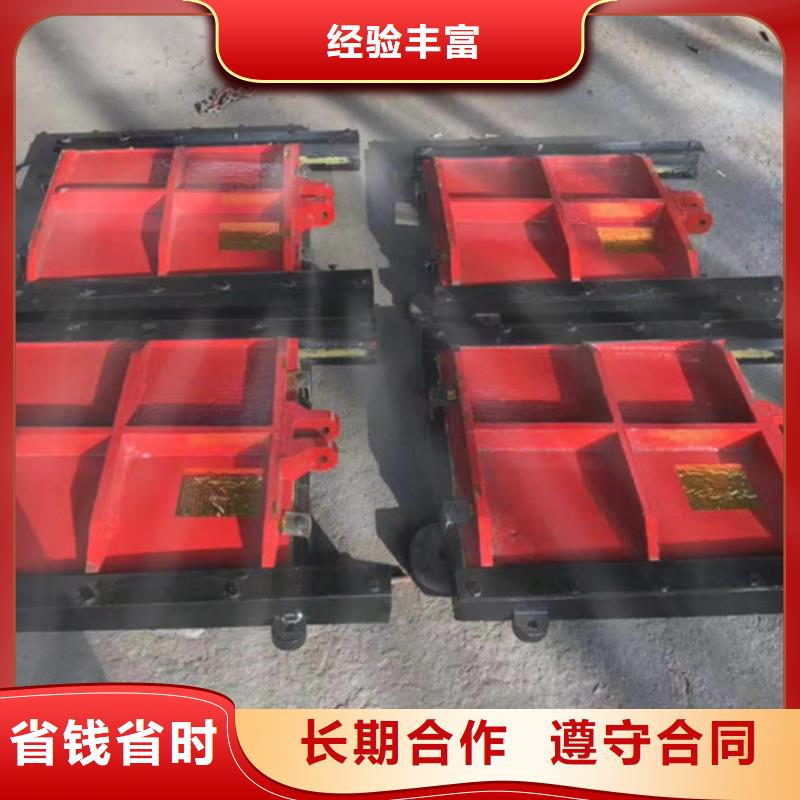 闸门启闭机-镶铜双向铸铁闸门性价比高