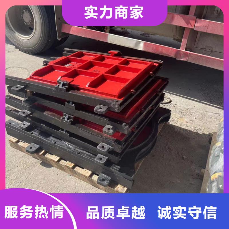 镶铜铸铁止水双向闸门批发厂家
