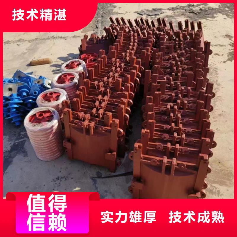 铸铁镶铜闸门-电动铸铁闸门双向受压一站式解决方案