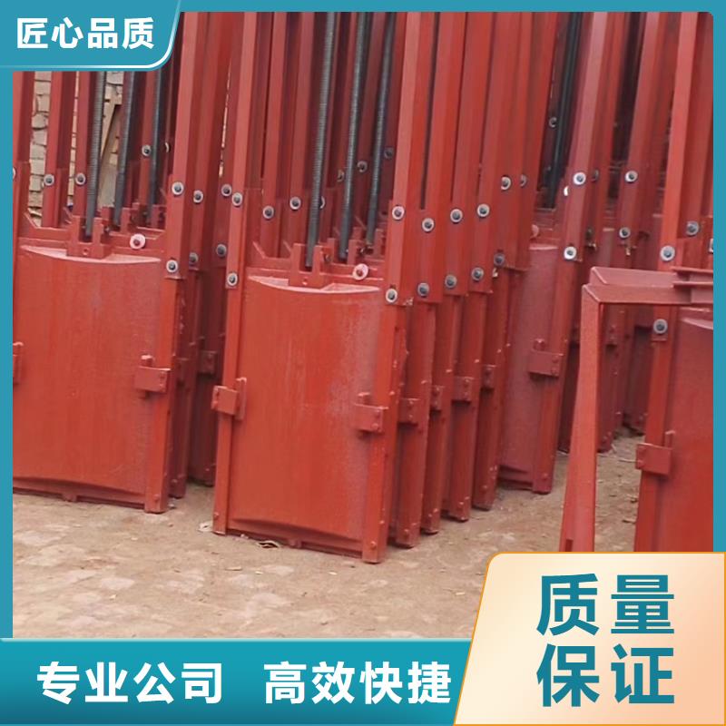 河道铸铁闸门-闸门启闭器一站式