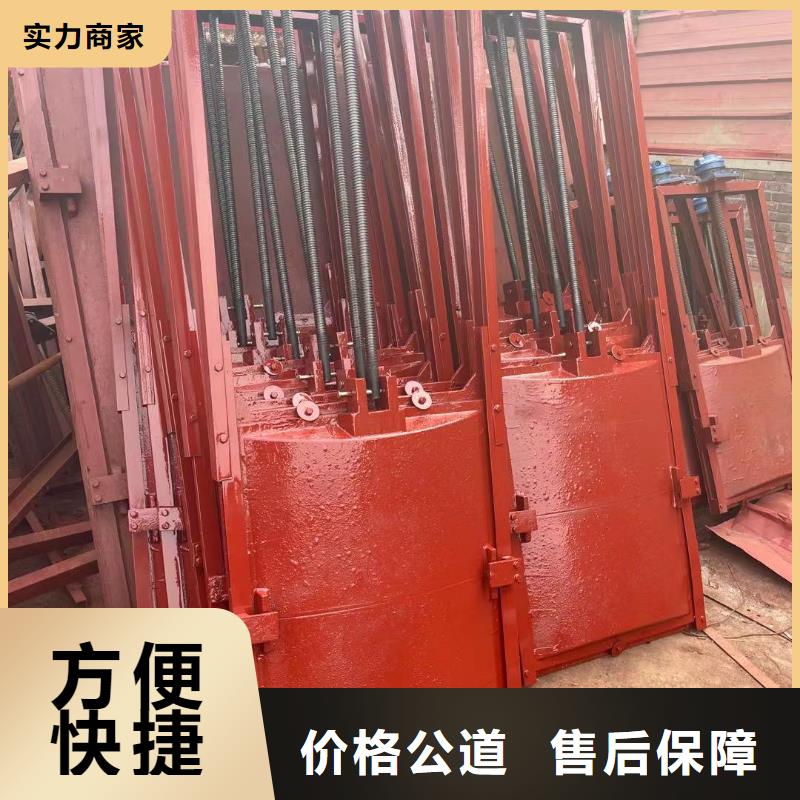 pz机闸一体式铸铁闸门品质有保障