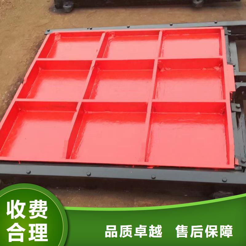 铸铁镶铜闸门-平面闸门带直联启闭机经久耐用