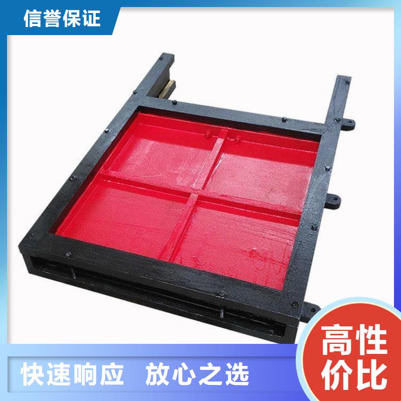 一体铸铁闸门匠心品质