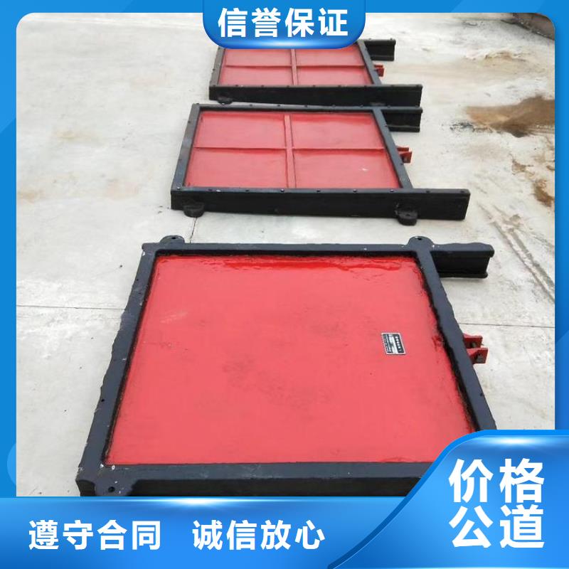 泵站小型方型闸门原厂