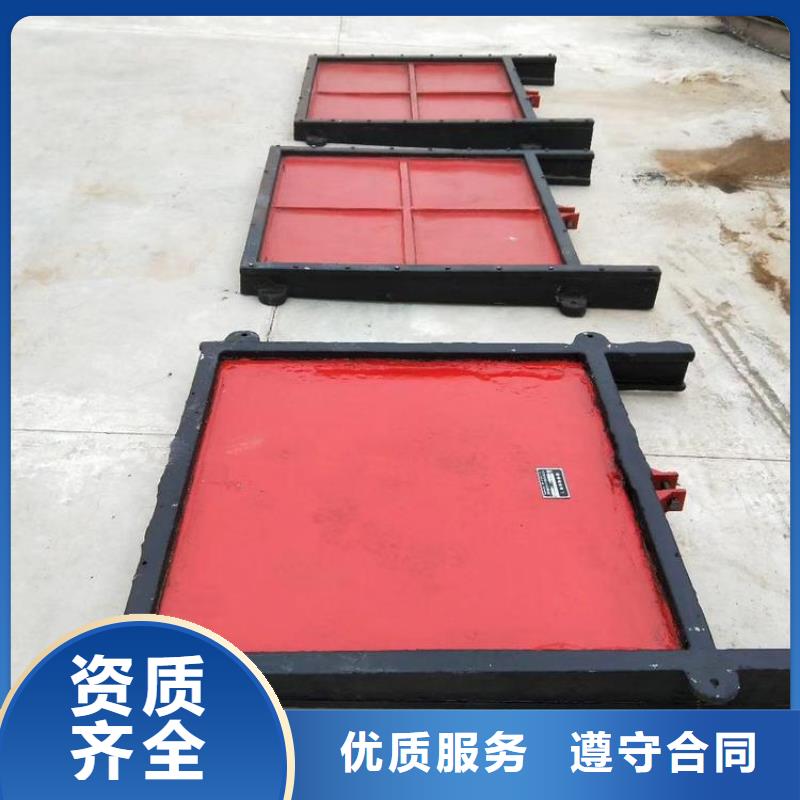 渠道闸门-PZ双向止水铸铁镶铜闸门免费安装调试