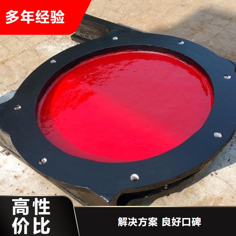 双向止水闸门现货全国配送