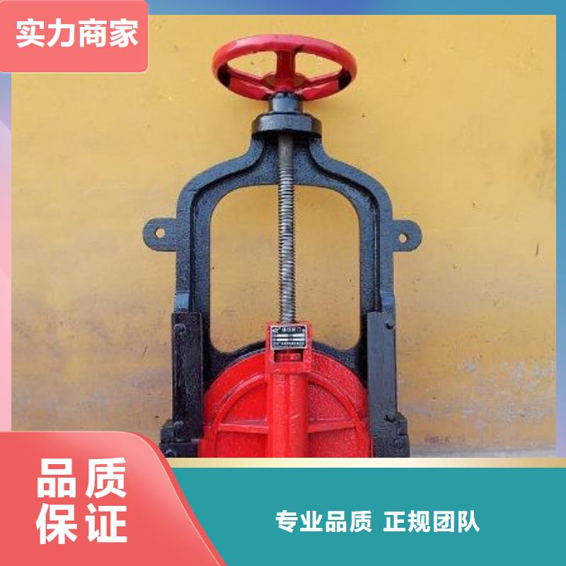 ##3米*3米铸铁闸门厂家