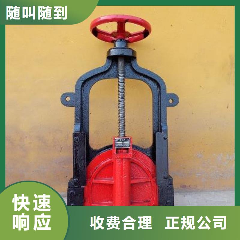 铸铁镶铜闸门-平面闸门带直联启闭机经久耐用