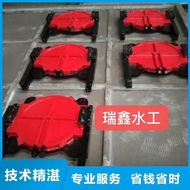 启闭机闸门-PZ双向止水铸铁镶铜闸门定制化