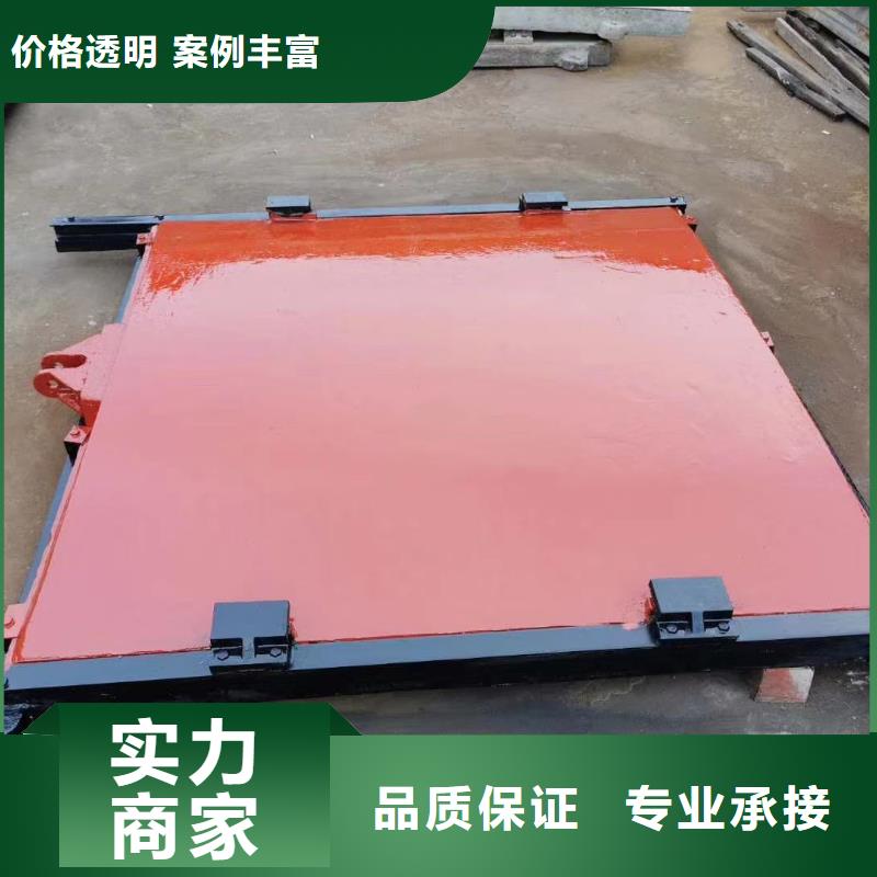 铸铁镶铜闸门-平面闸门带直联启闭机经久耐用