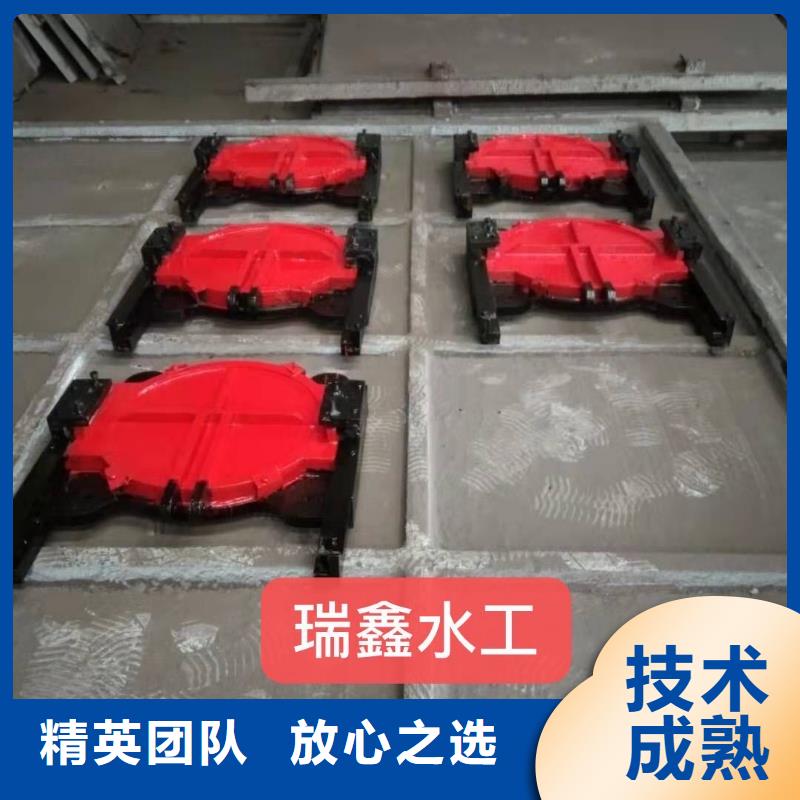河道铸铁闸门-双向止水铸铁镶铜闸门服务贴心