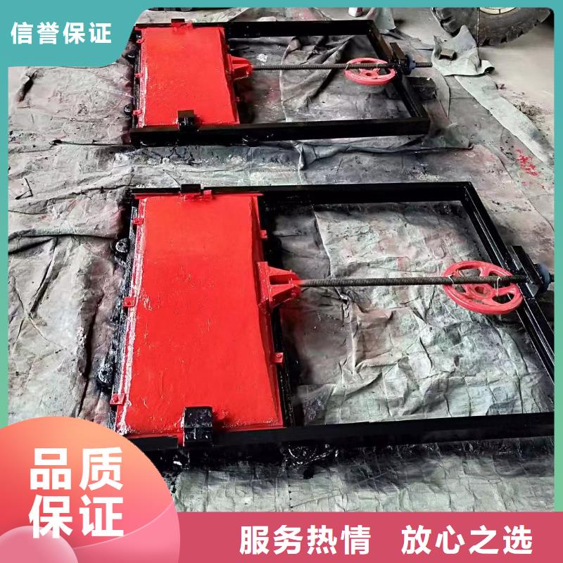 河道铸铁闸门-闸门启闭器一站式