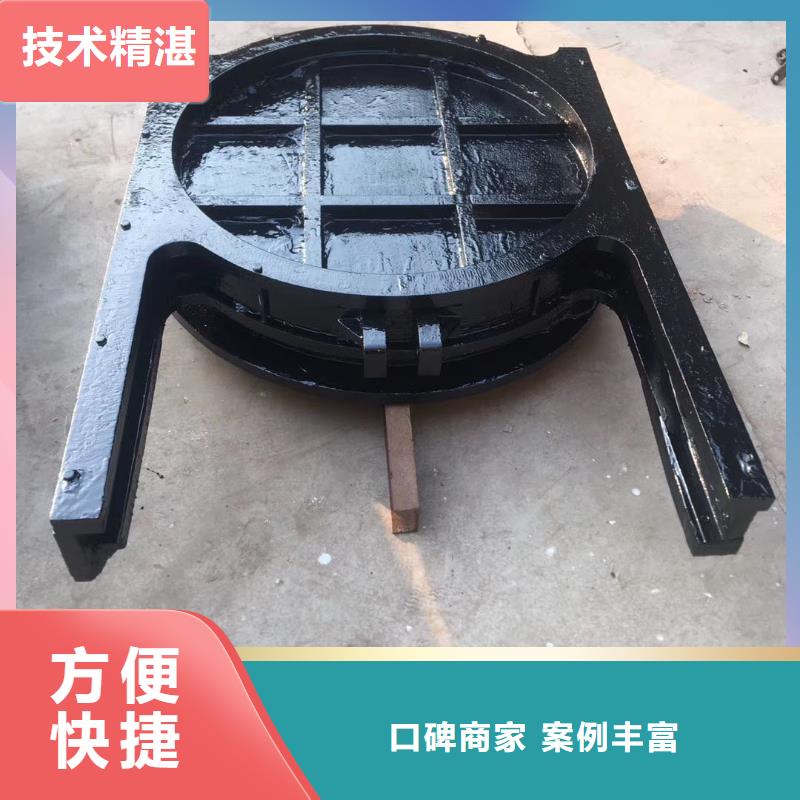 铸铁镶铜闸门-水闸闸门技术领先