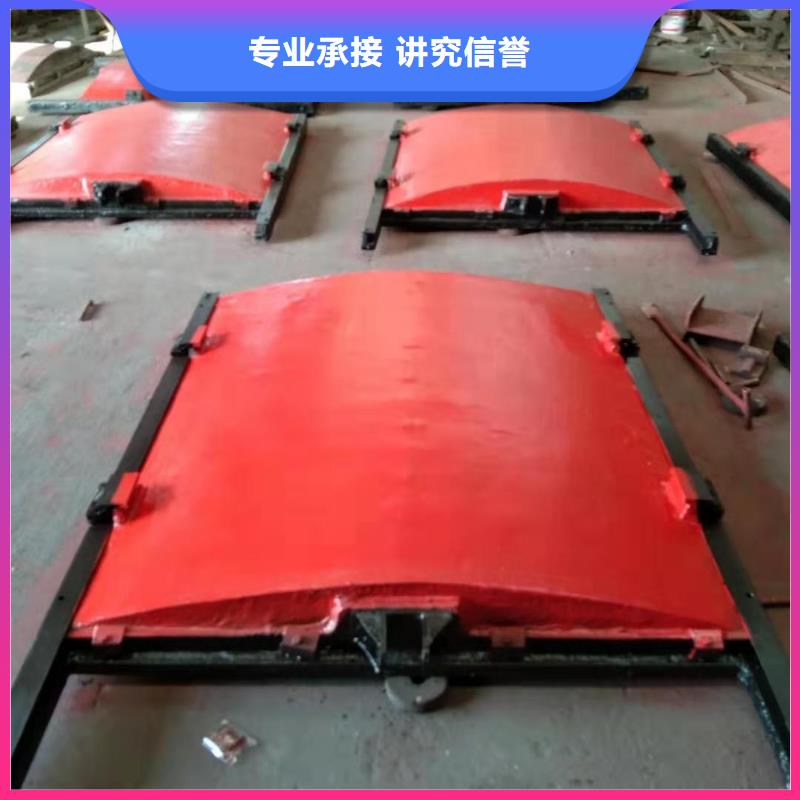 铸铁镶铜闸门-平面闸门带直联启闭机经久耐用